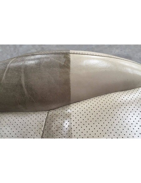 LIMON SPORT 1L LIMPIADOR MULTIUSOS