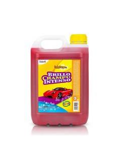 CHAMPU BRILLO INTENSO TOP LINE 5LTRS.**************