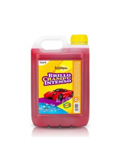 CHAMPU BRILLO INTENSO TOP LINE 5LTRS.**************